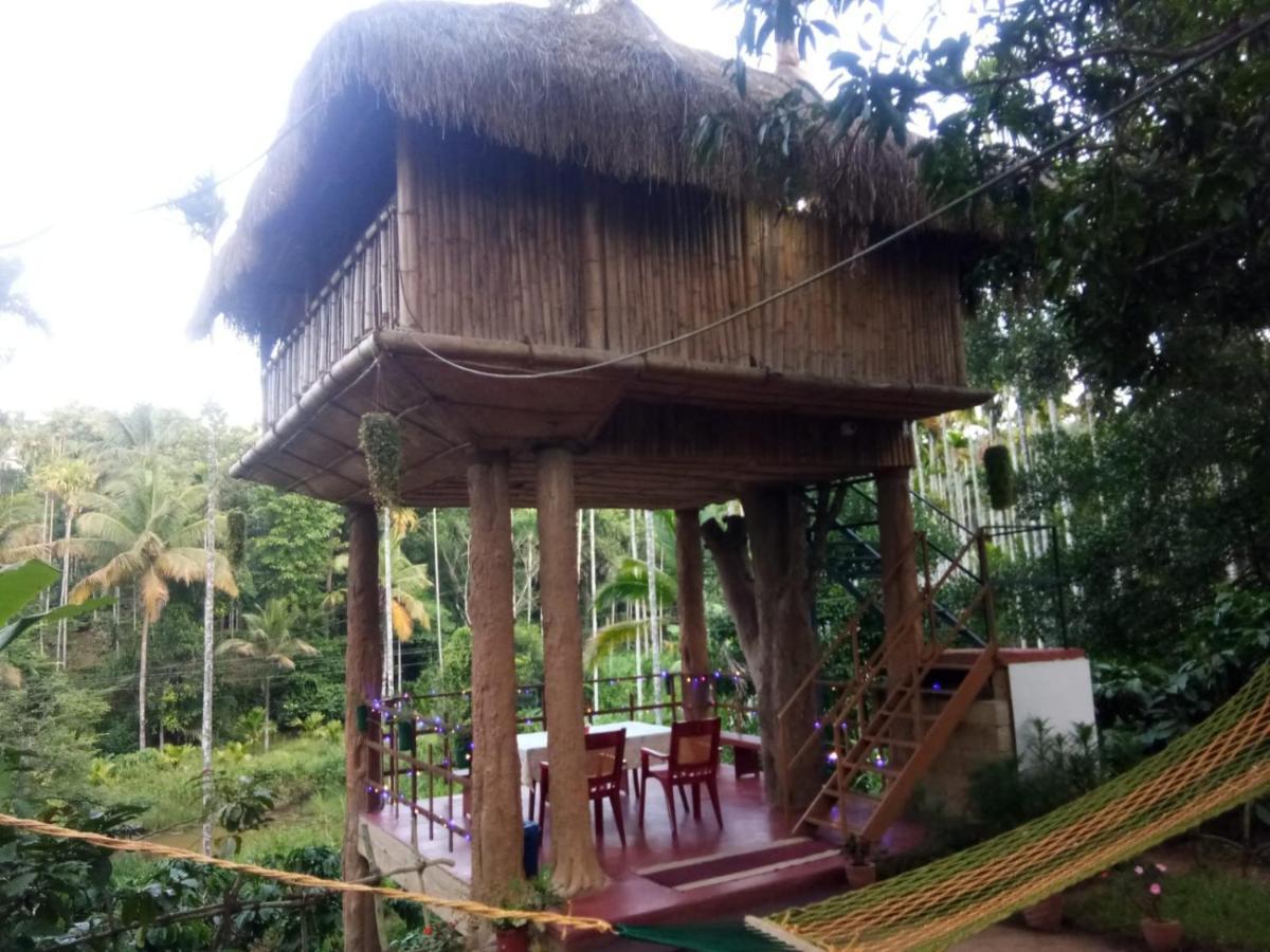 Kalidasa Tree House And Villa, Wayanad Chegat Luaran gambar