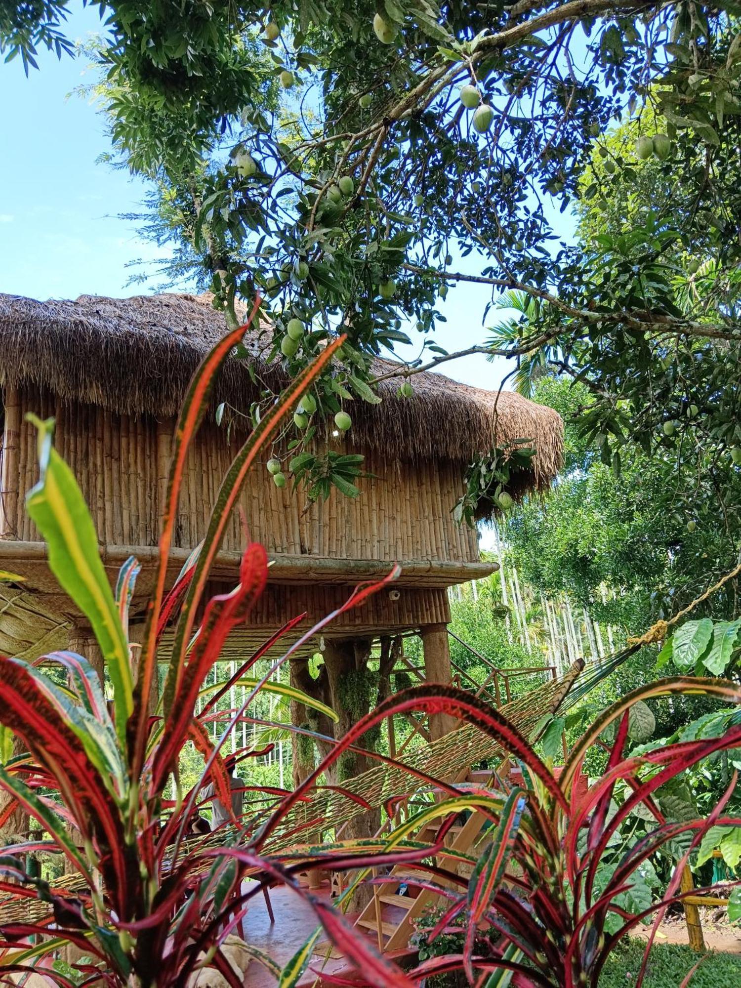 Kalidasa Tree House And Villa, Wayanad Chegat Luaran gambar