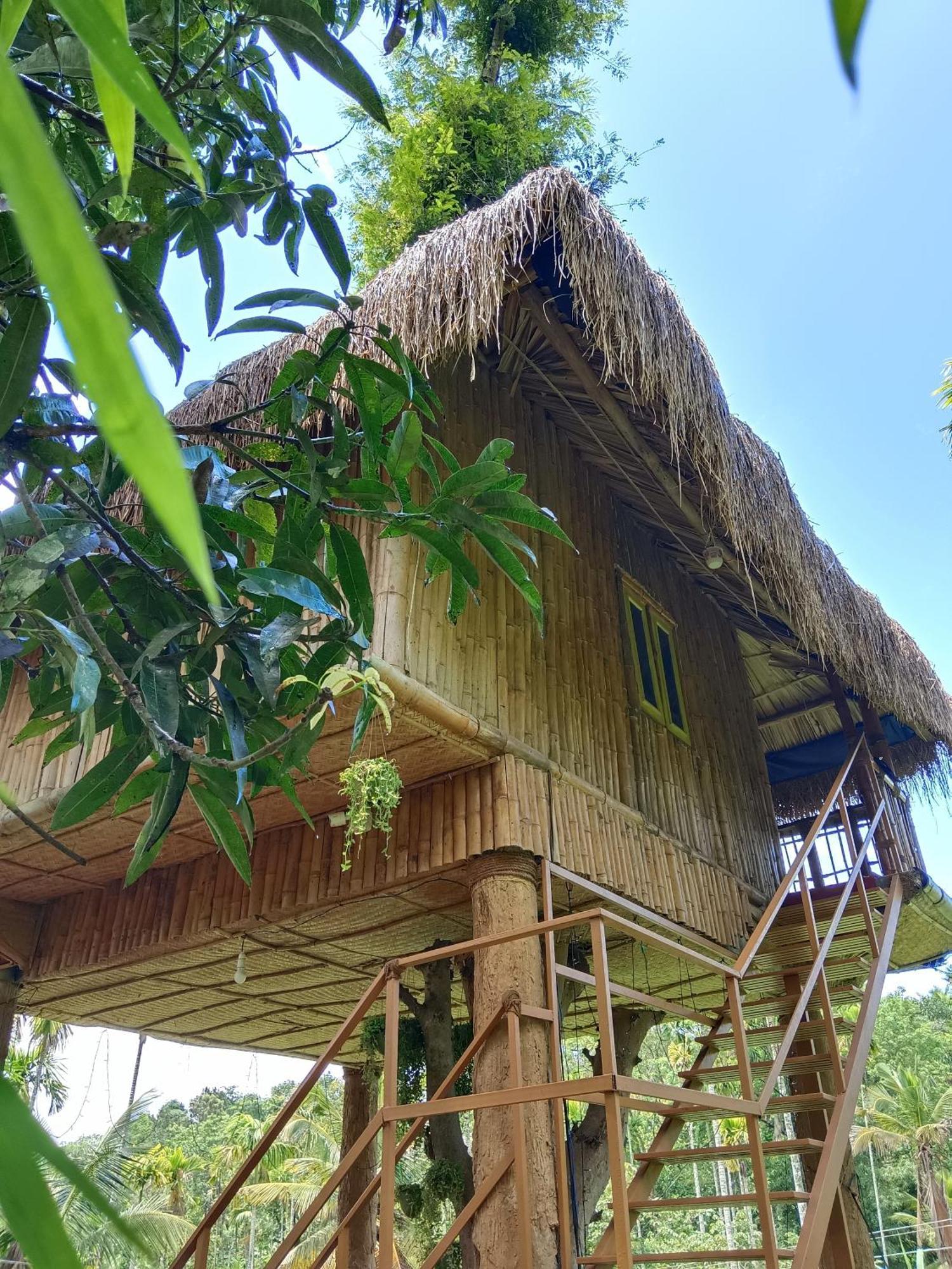 Kalidasa Tree House And Villa, Wayanad Chegat Bilik gambar